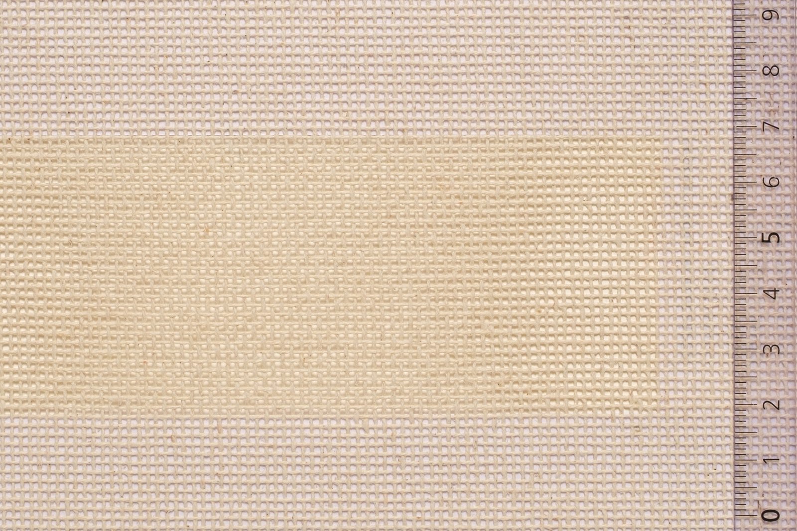 02MNVSCH62ECRxxxCOT[MONOCANVAS 62 SCHOOL](ECRU)F